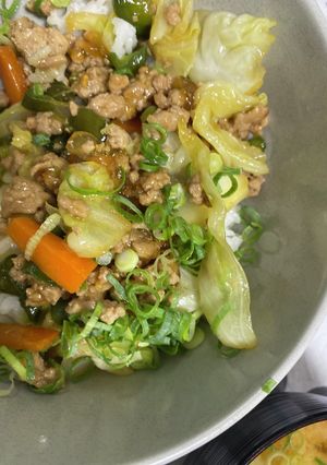 野菜炒め丼-レシピのメイン写真