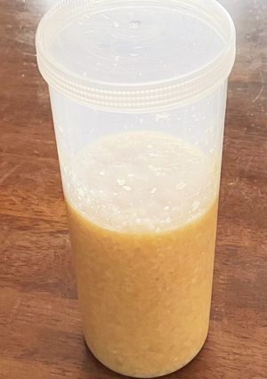 発酵フードメーカーdeにんにく麹-レシピのメイン写真