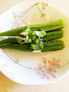 塩オクラ-レシピのメイン写真