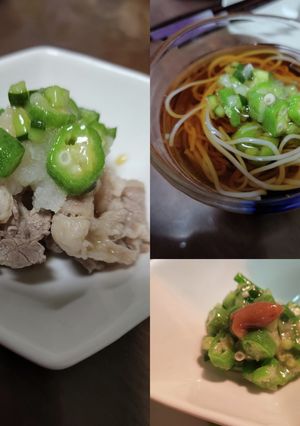 お野菜ぺろりメニュー[ねぎ塩オクラ]-レシピのメイン写真