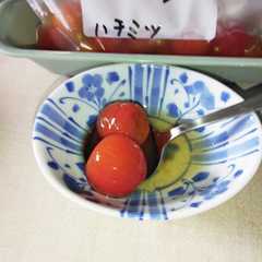รูปของ ミニトマトの蜂蜜リンゴ酢漬け