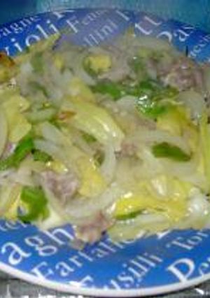 料理？肉野菜炒め-レシピのメイン写真