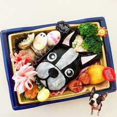 รูปของ ボストンテリアのお弁当♪