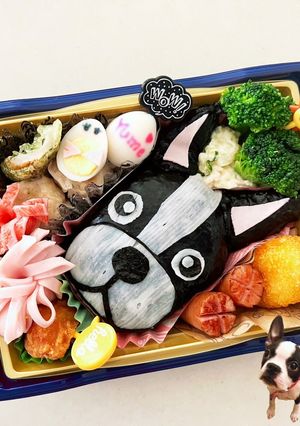ボストンテリアのお弁当♪-レシピのメイン写真