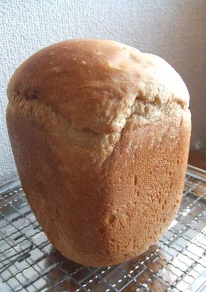 きなこが美味しい食パン（ＨＢ）-レシピのメイン写真