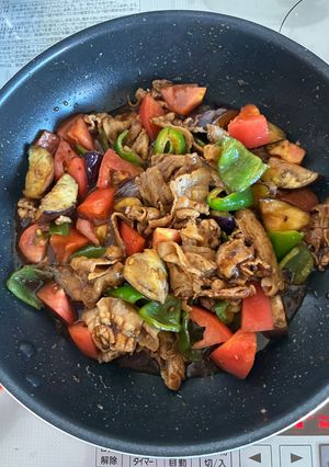 我家の夏野菜たっぷり回鍋肉-レシピのメイン写真
