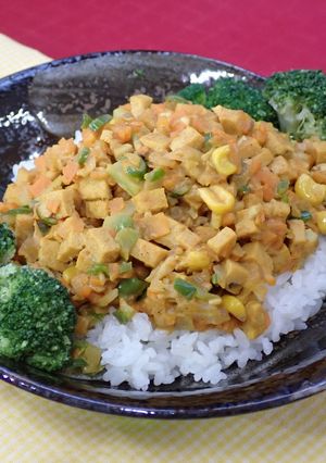 【バランス】高野豆腐のドライカレー-レシピのメイン写真
