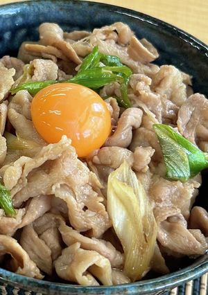 食べ盛りにボリューム満点すた丼はいかが？-レシピのメイン写真