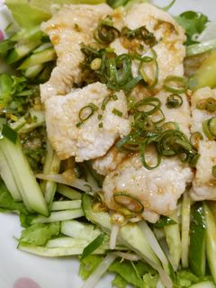 柔らか鶏むね☆よだれ鶏-レシピのメイン写真
