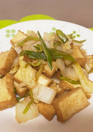 厚揚げと白菜とネギのオイスターソース炒め-レシピのメイン写真