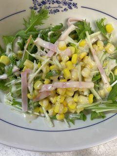 ハムと水菜のサラダ 自分用-レシピのメイン写真