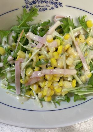 ハムと水菜のサラダ 自分用-レシピのメイン写真