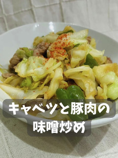 キャベツと豚肉の味噌炒め-レシピのメイン写真