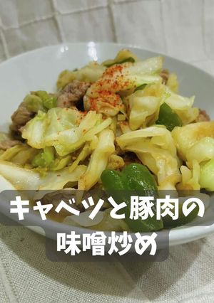 キャベツと豚肉の味噌炒め-レシピのメイン写真