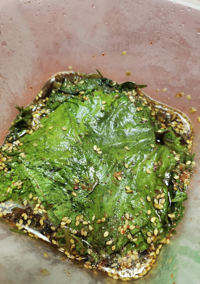 【シソ大量消費】ごまの葉風醤油漬け-レシピのメイン写真