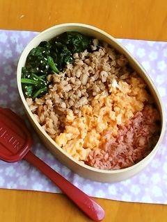 お弁当2023年8月17日-レシピのメイン写真