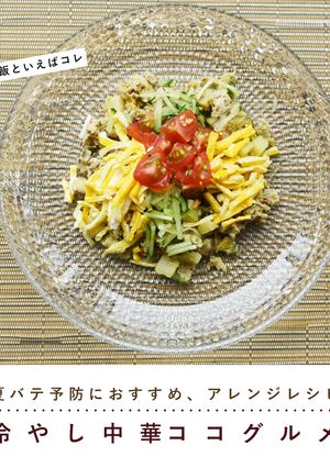犬ごはん/冷やし中華ココグルメ-レシピのメイン写真