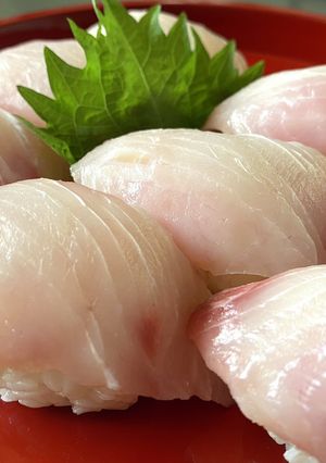 気軽に握り寿司・魚はシイラ-レシピのメイン写真