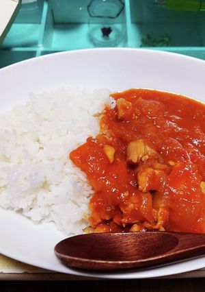 スパイスカレー 覚書-レシピのメイン写真