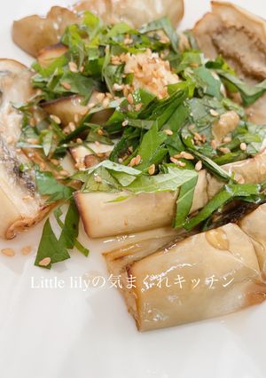 魚焼きグリルでグリル茄子-レシピのメイン写真