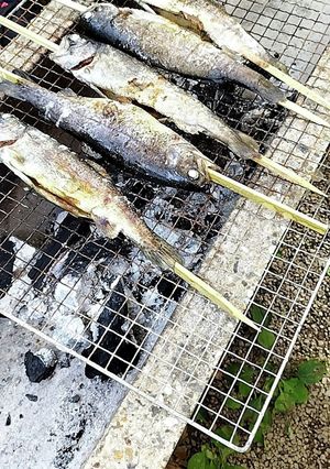虹鱒の塩炭火焼き-レシピのメイン写真