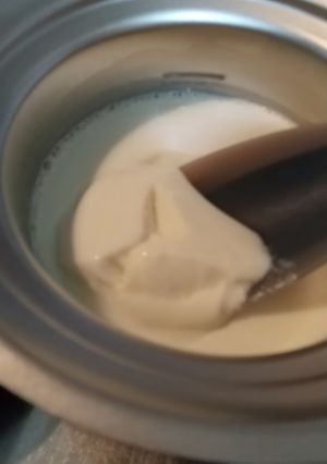 豆乳と牛乳で自家製ヨーグルト-レシピのメイン写真