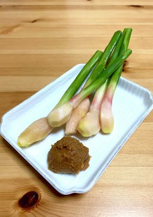 葉しょうが-レシピのメイン写真