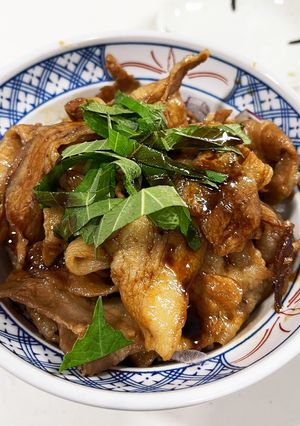 豚肉丼-レシピのメイン写真