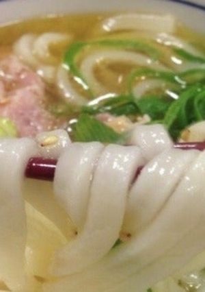 鶏もも肉と長ネギのオカケンうどん-レシピのメイン写真