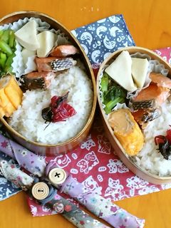 お弁当2023年8月22日-レシピのメイン写真
