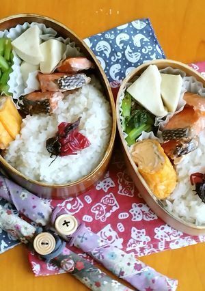 お弁当2023年8月22日-レシピのメイン写真