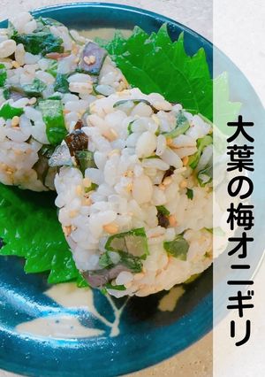 沖縄島野菜ハンダマと大葉の梅オニギリ-レシピのメイン写真