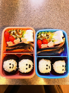 8/21 弁当 鮭-レシピのメイン写真