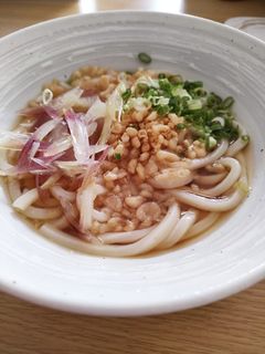 冷凍うどんで簡単冷やしうどん-レシピのメイン写真