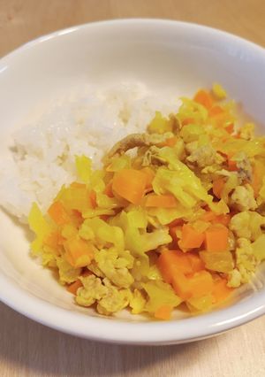 【離乳食完了期】優しいドライカレー-レシピのメイン写真