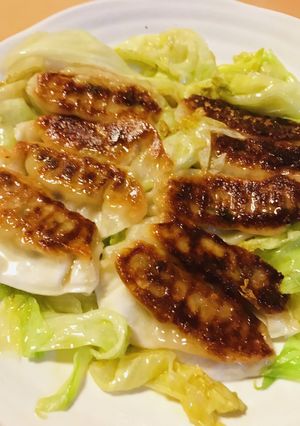 レトルト餃子●レタスといっしょ焼き-レシピのメイン写真