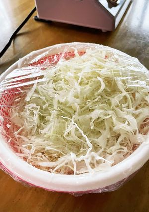 時短♪千切りキャベツの水切り-レシピのメイン写真