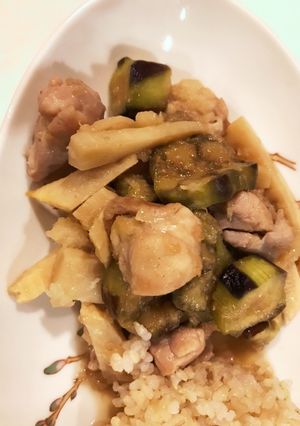 鶏肉ナスと竹の子のみぞれ煮-レシピのメイン写真