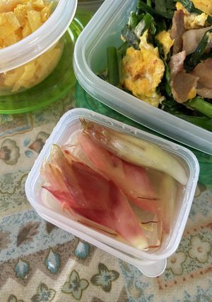 茗荷の酢漬け-レシピのメイン写真