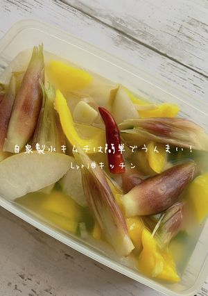 ☆自家製!水キムチ☆-レシピのメイン写真