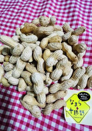 生落花生⭐︎茹で方-レシピのメイン写真