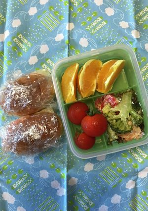 20230731マイ弁当-レシピのメイン写真