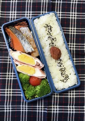 20230815マイ弁当-レシピのメイン写真
