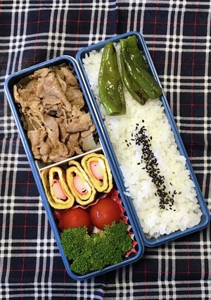 20230817マイ弁当-レシピのメイン写真
