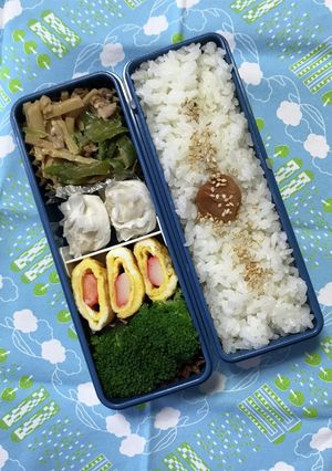 20230828マイ弁当-レシピのメイン写真