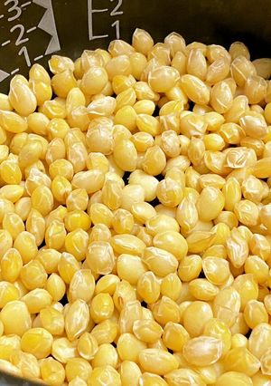 プチたん活♪高オレイン酸大豆の炊き大豆-レシピのメイン写真