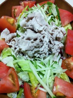 野菜たっぷりな冷しゃぶサラダ♪-レシピのメイン写真