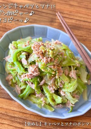 【楽めし】キャベツとツナのポンマヨ-レシピのメイン写真