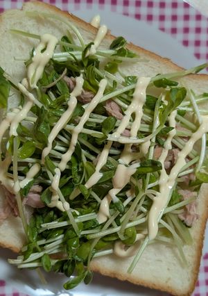 簡単★豆苗ツナマヨオープンサンド-レシピのメイン写真
