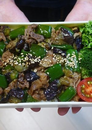 レンジde豚肉とピーマンとなすの丼弁当-レシピのメイン写真